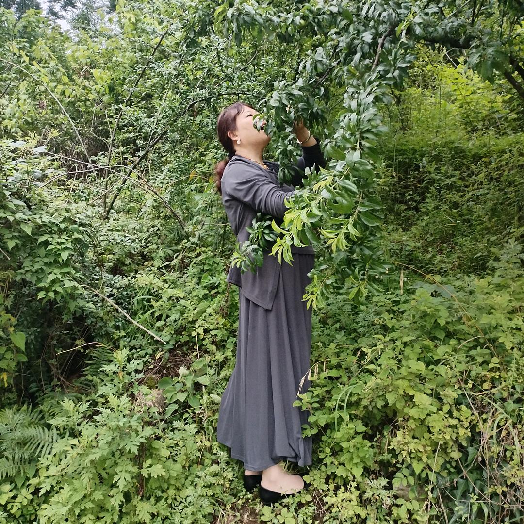 繁花如梦