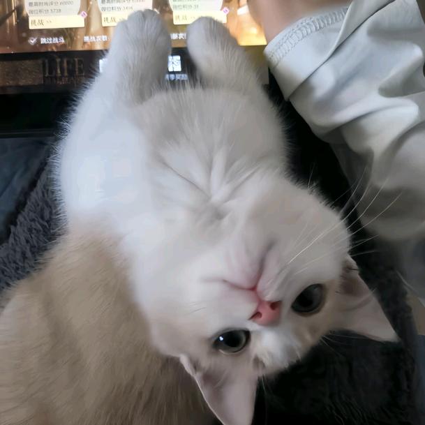 下次送你花