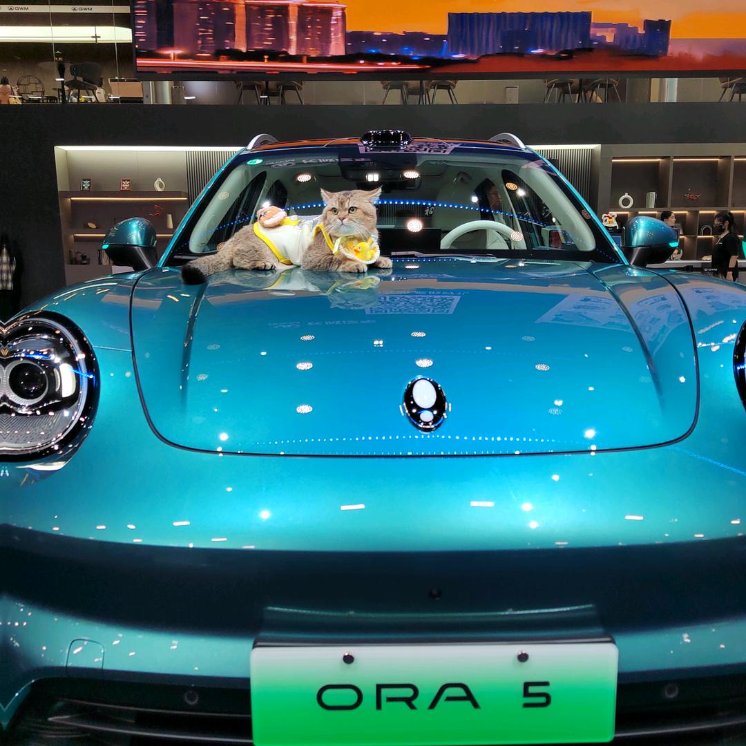 🍀🍀💓💞熊熊💗🐶🐭🎋🎋