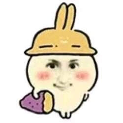 梵辰