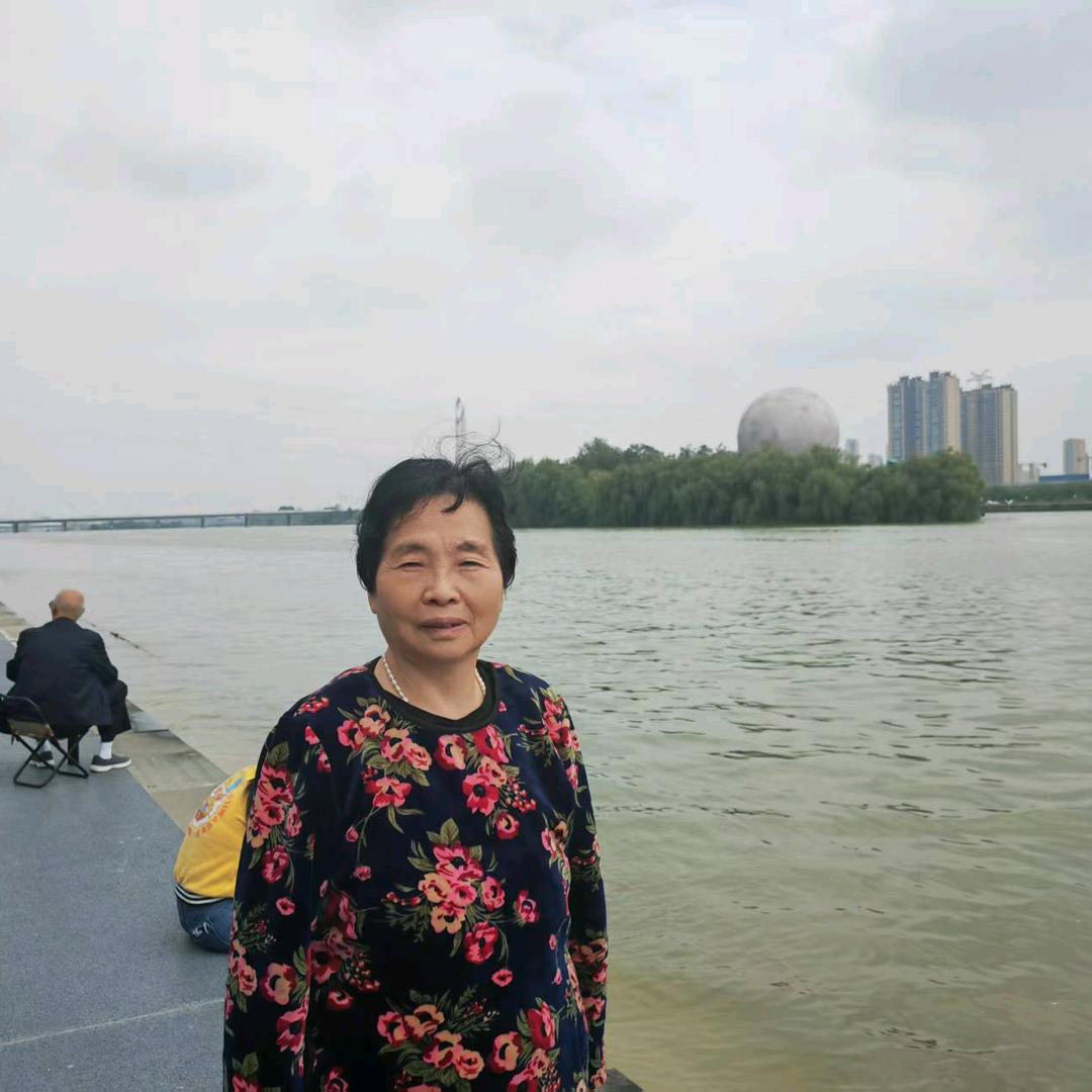 党金婵头像