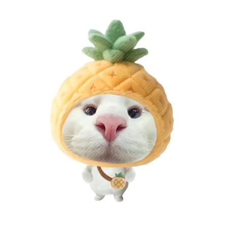一条夹心