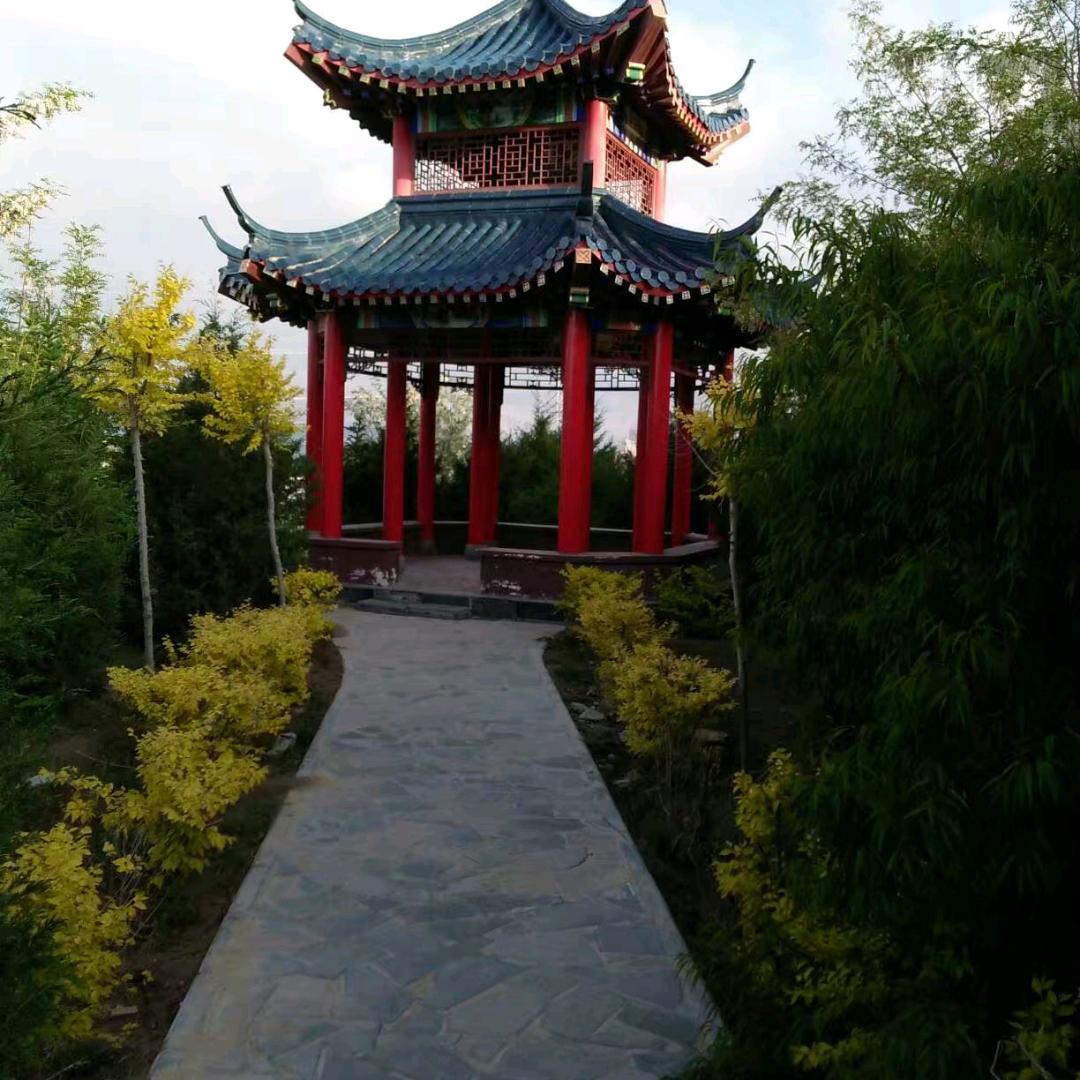 兴哥，