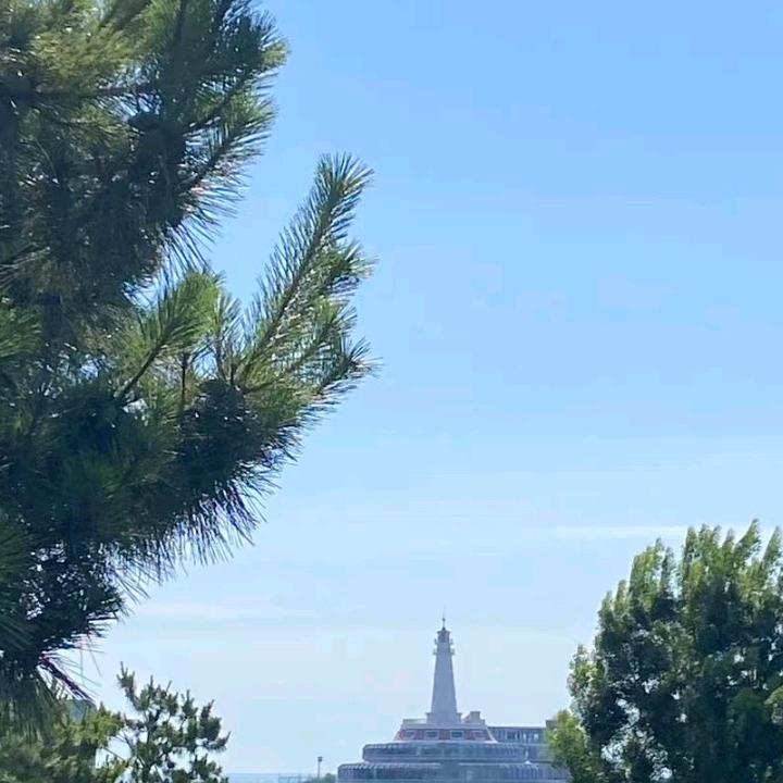 野马