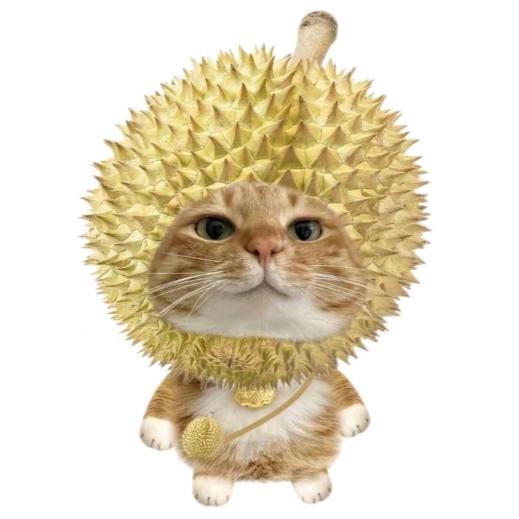 七七