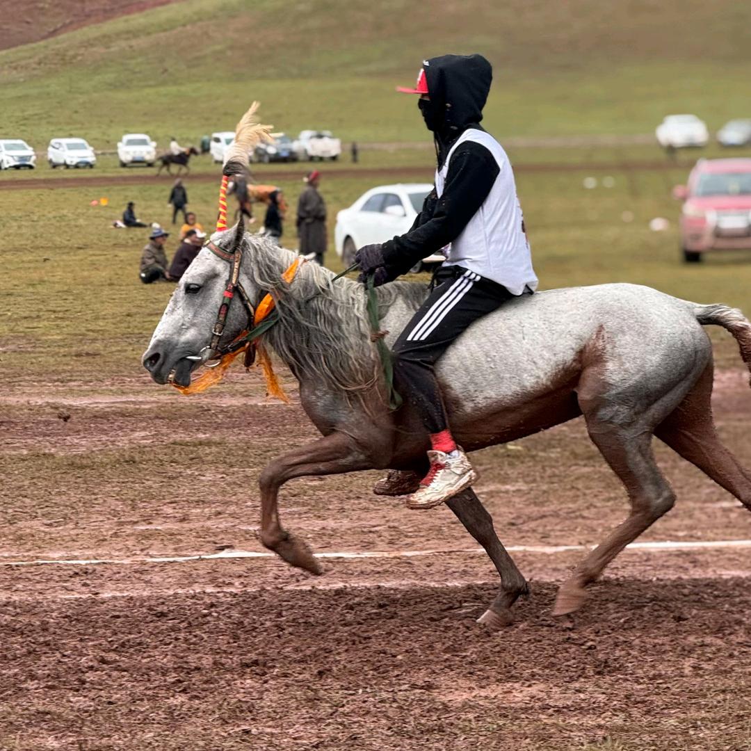 ࿐ NI  MA。楠𓃗