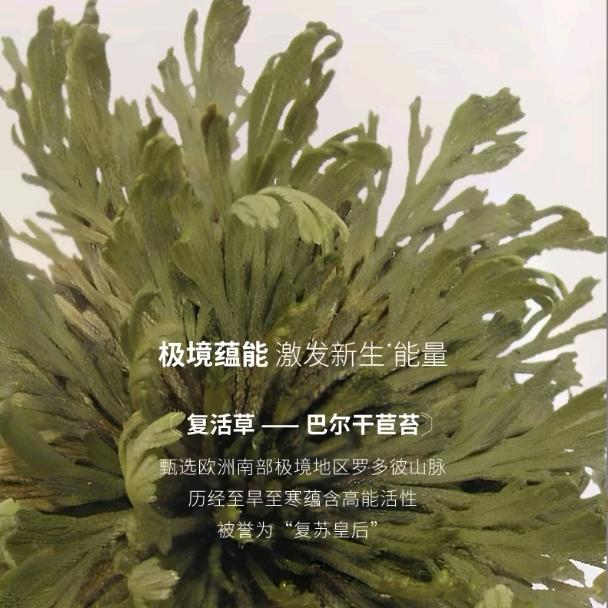 苾莱宝-讲护肤