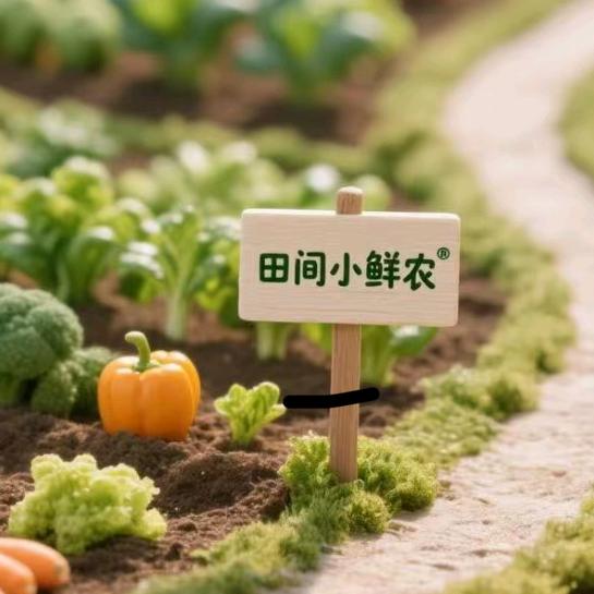 田间小鲜农