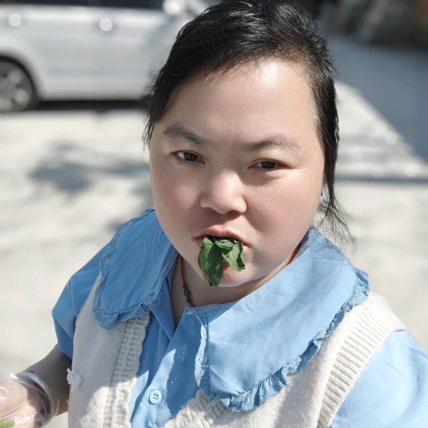 南柯一梦