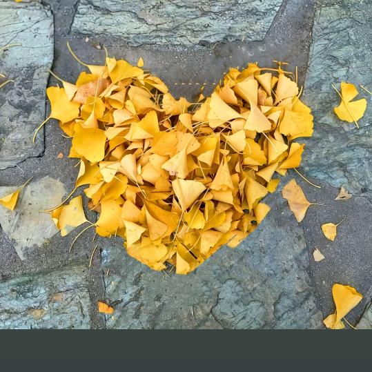 ・ω・兜兜✄╰ひ╯