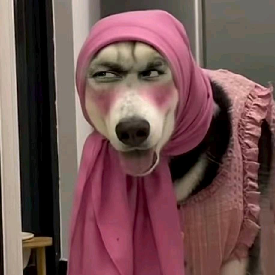 冰冰