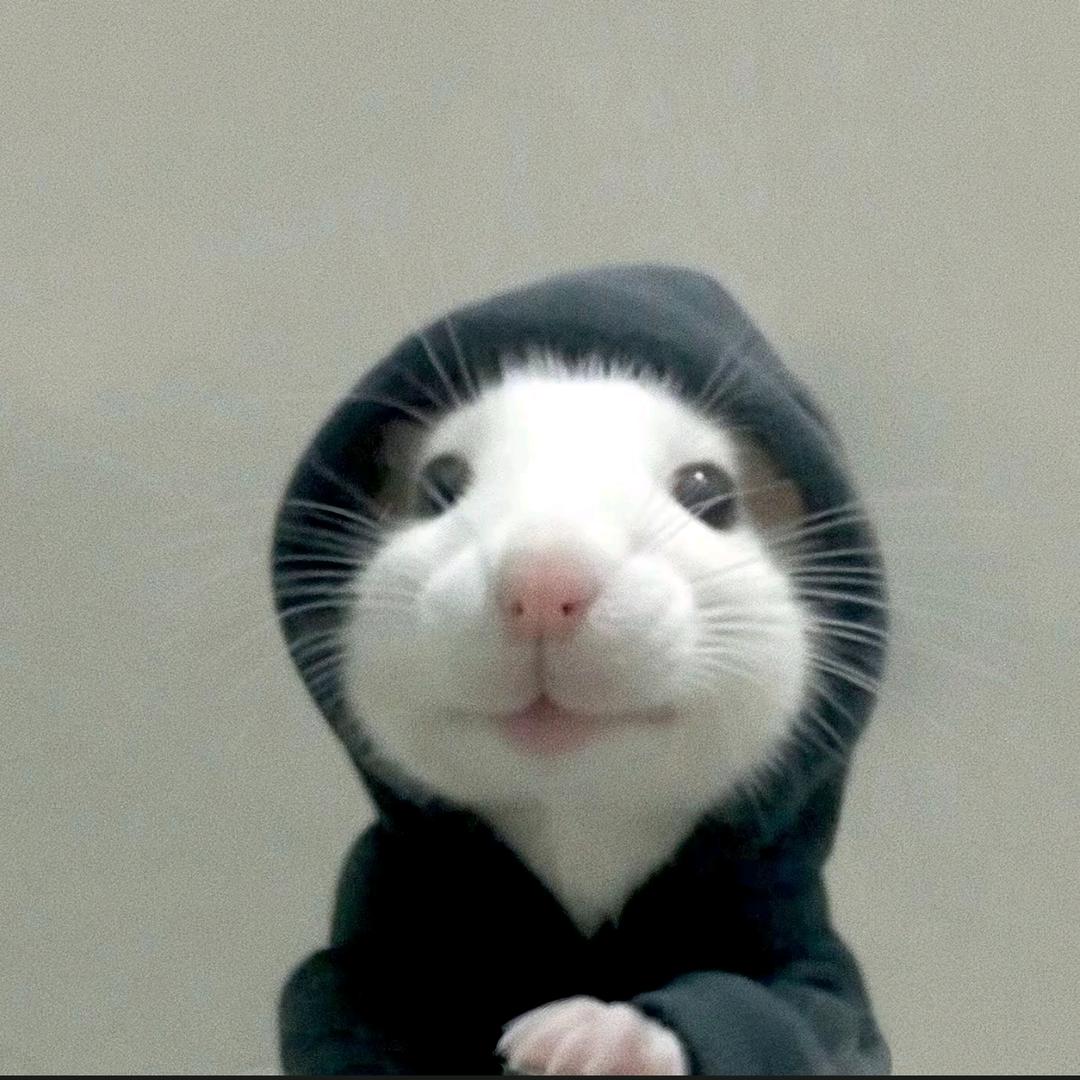 哎呦~（三角洲行动）