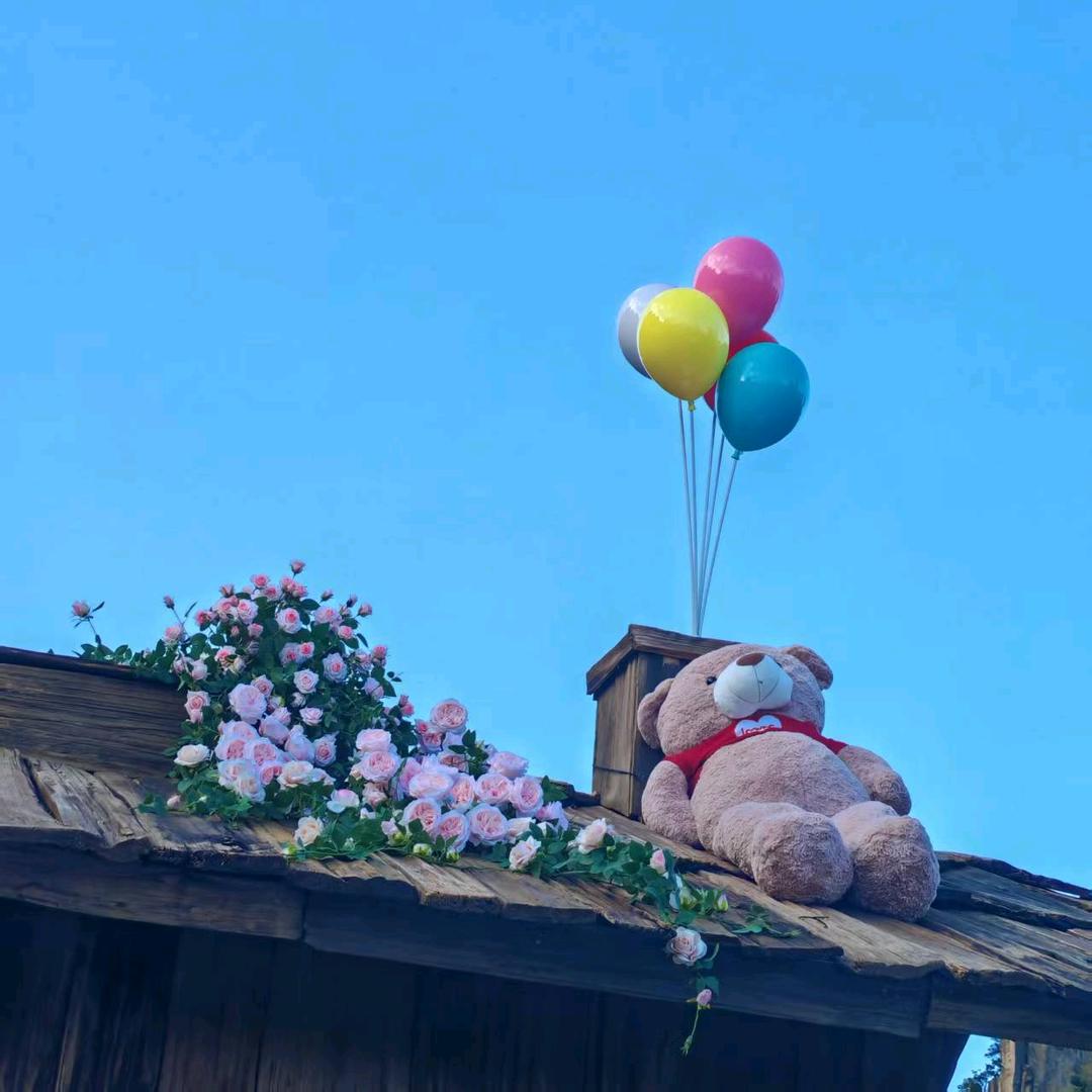 @💞余生꧔ꦿ᭄随心꧔ꦿ᭄💞