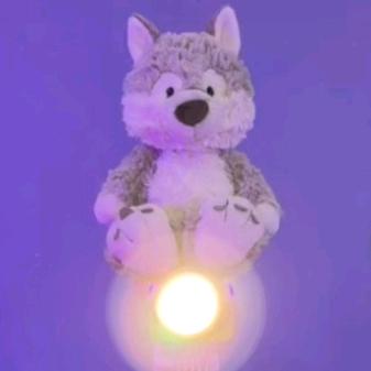 狼哥的摸鱼小号🐺🍬