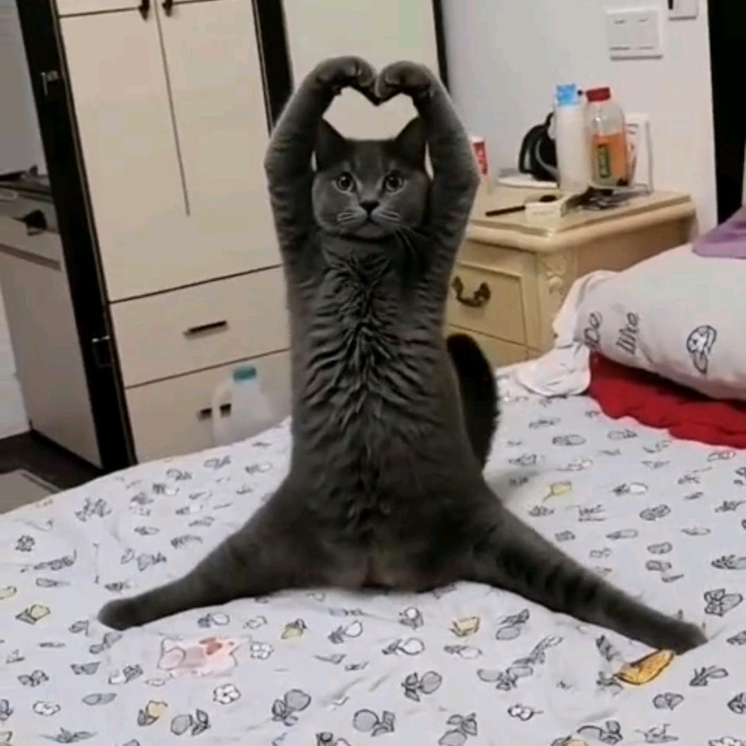 我珍你一生👩‍❤️‍👨