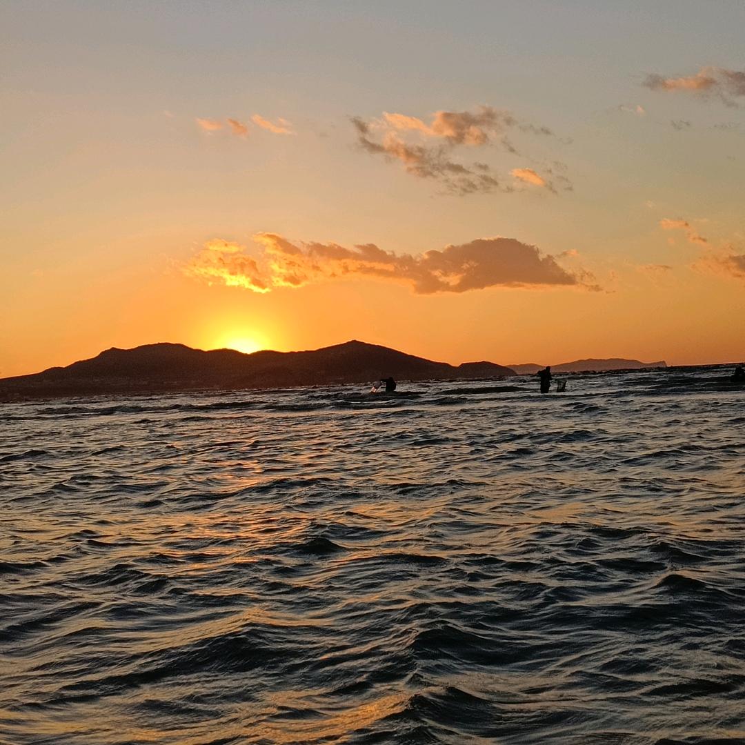 大连路飞赶海
