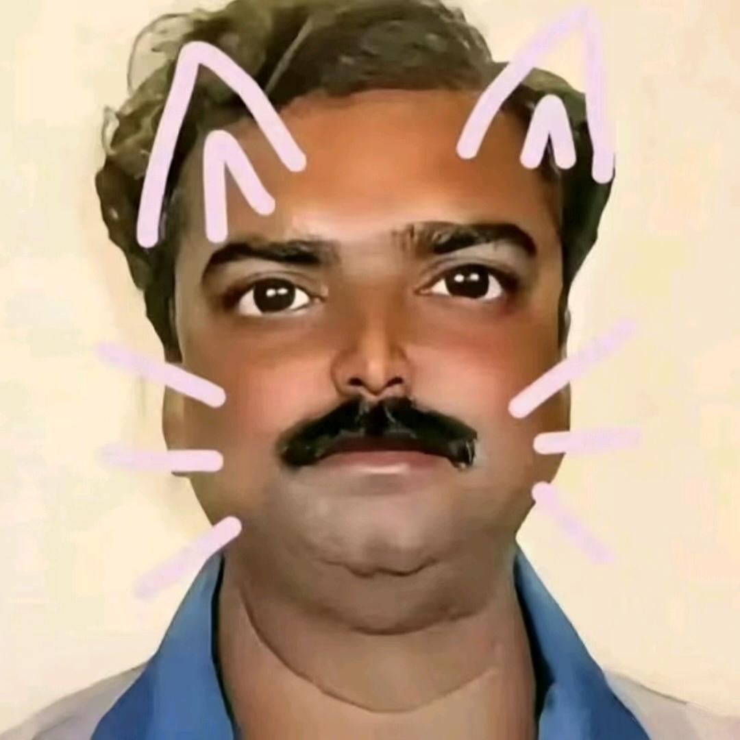 摇裤儿只穿满天星豹纹摇裤儿