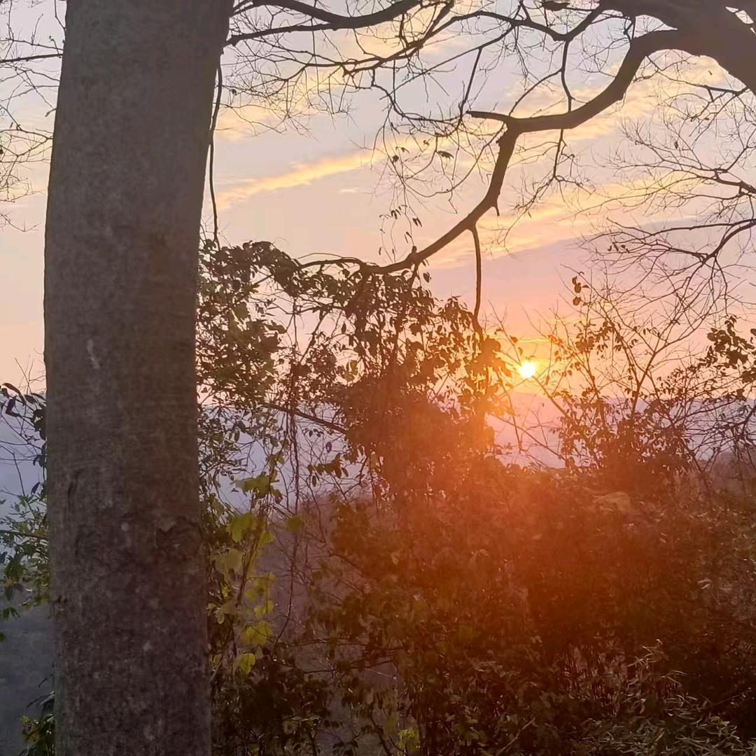 三个宝贝的妈妈