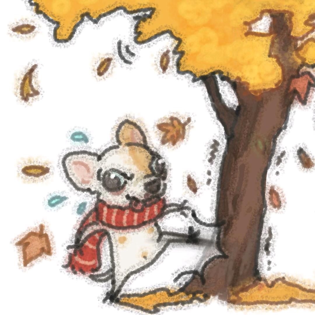 🌈🌈🌈🌈辉duduu