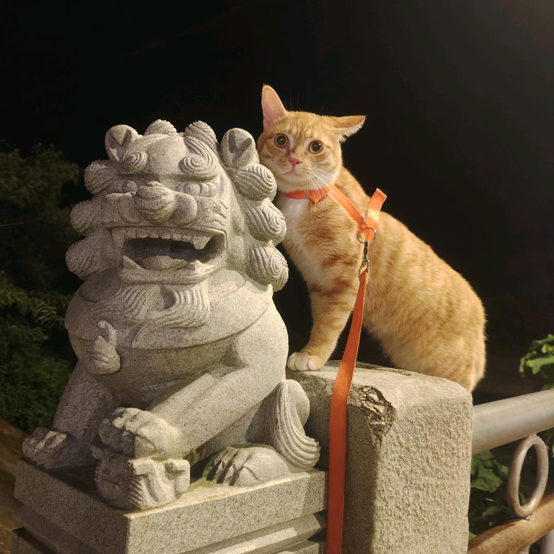 镜