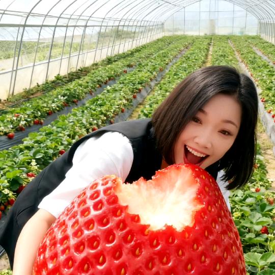 菲姐