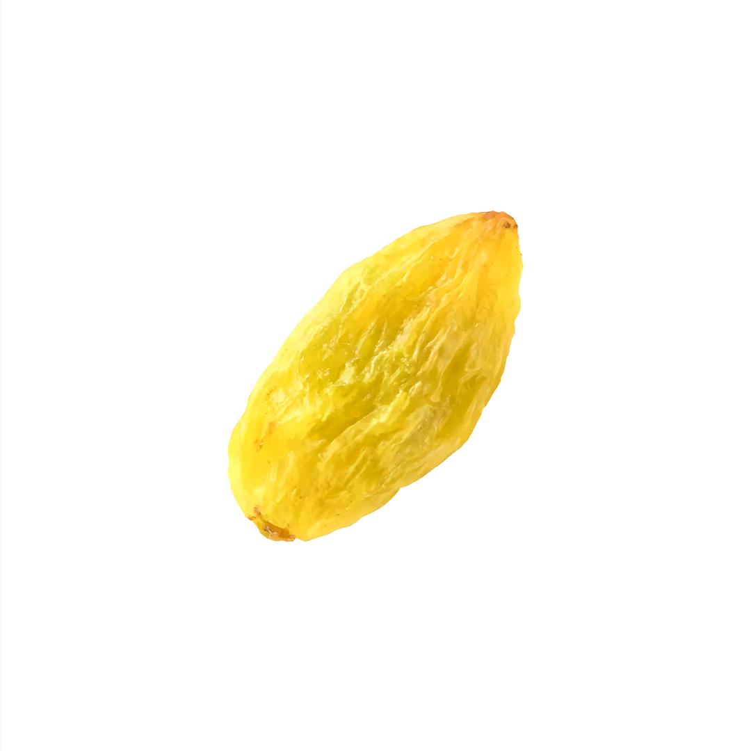 橘子周头🍊