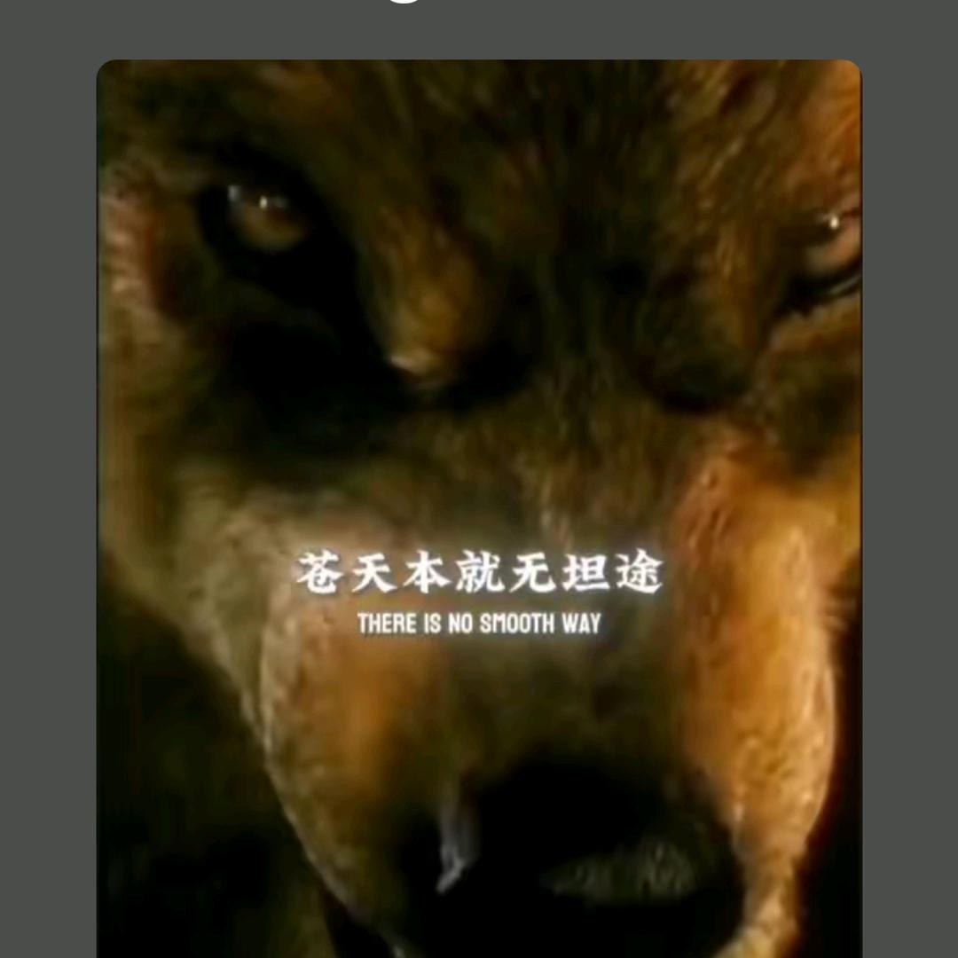 郭涛睿