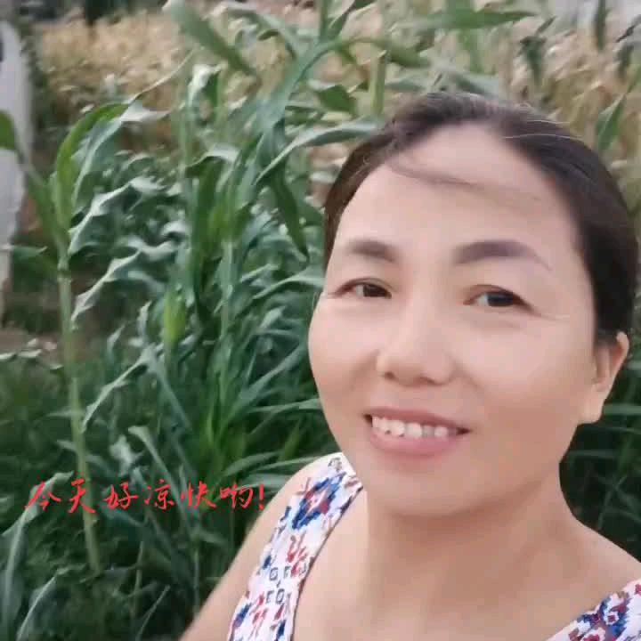 凤姐呀下午15:10首播