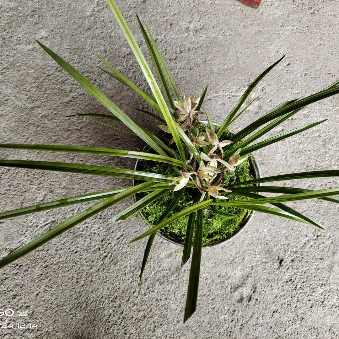 我真的好心痛啊