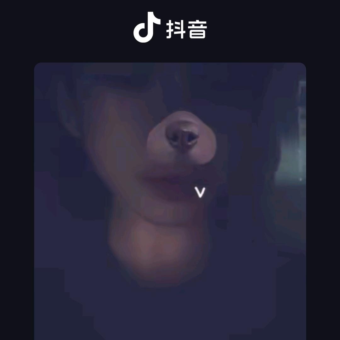 葛少