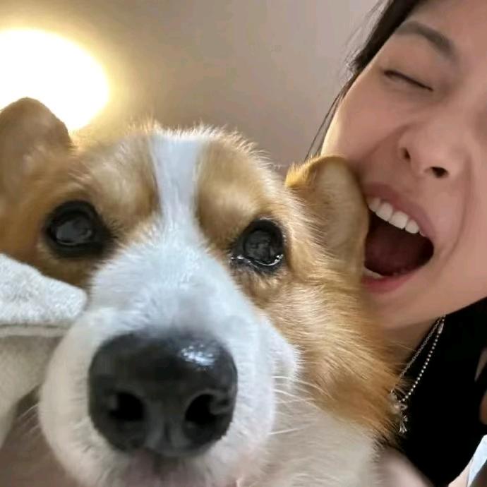 小歪咦