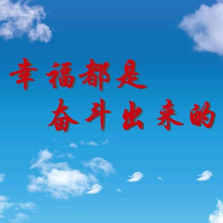 白羽王【新手养鸽】