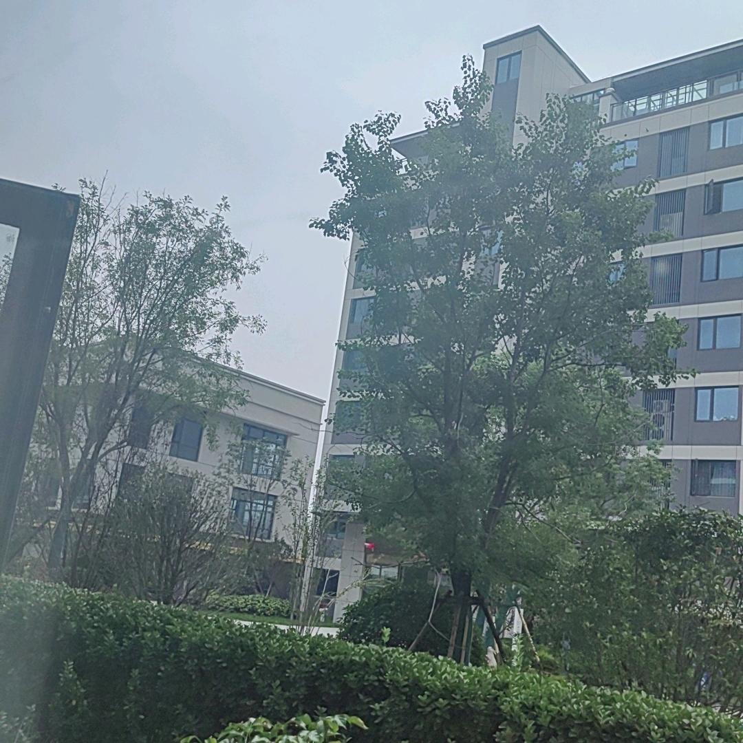 米果爷爷