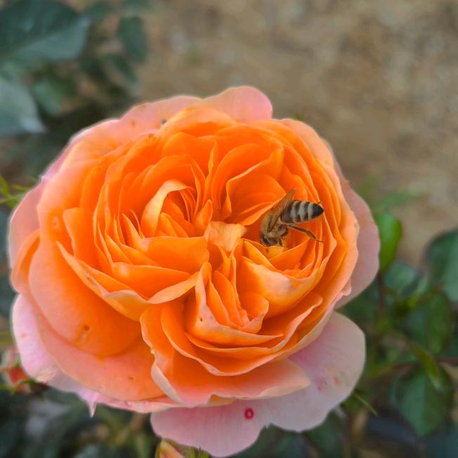 爱听歌的🎤冷幺妹《拒绝私聊》