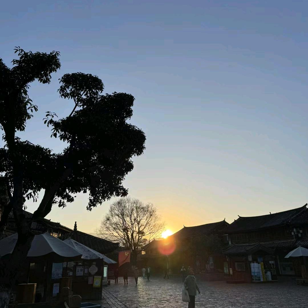 雨天度过的鱼