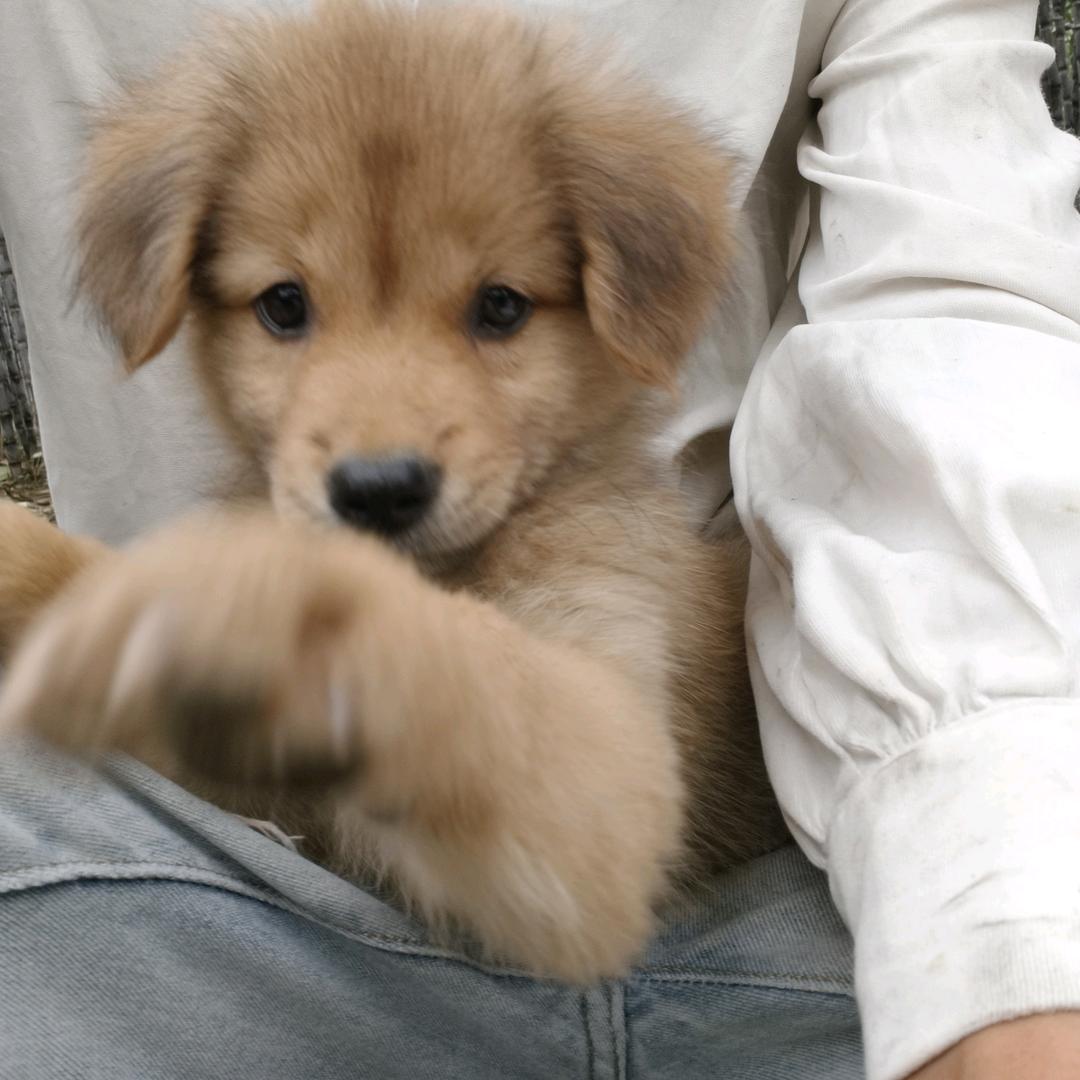 英超欧冠赛事直播