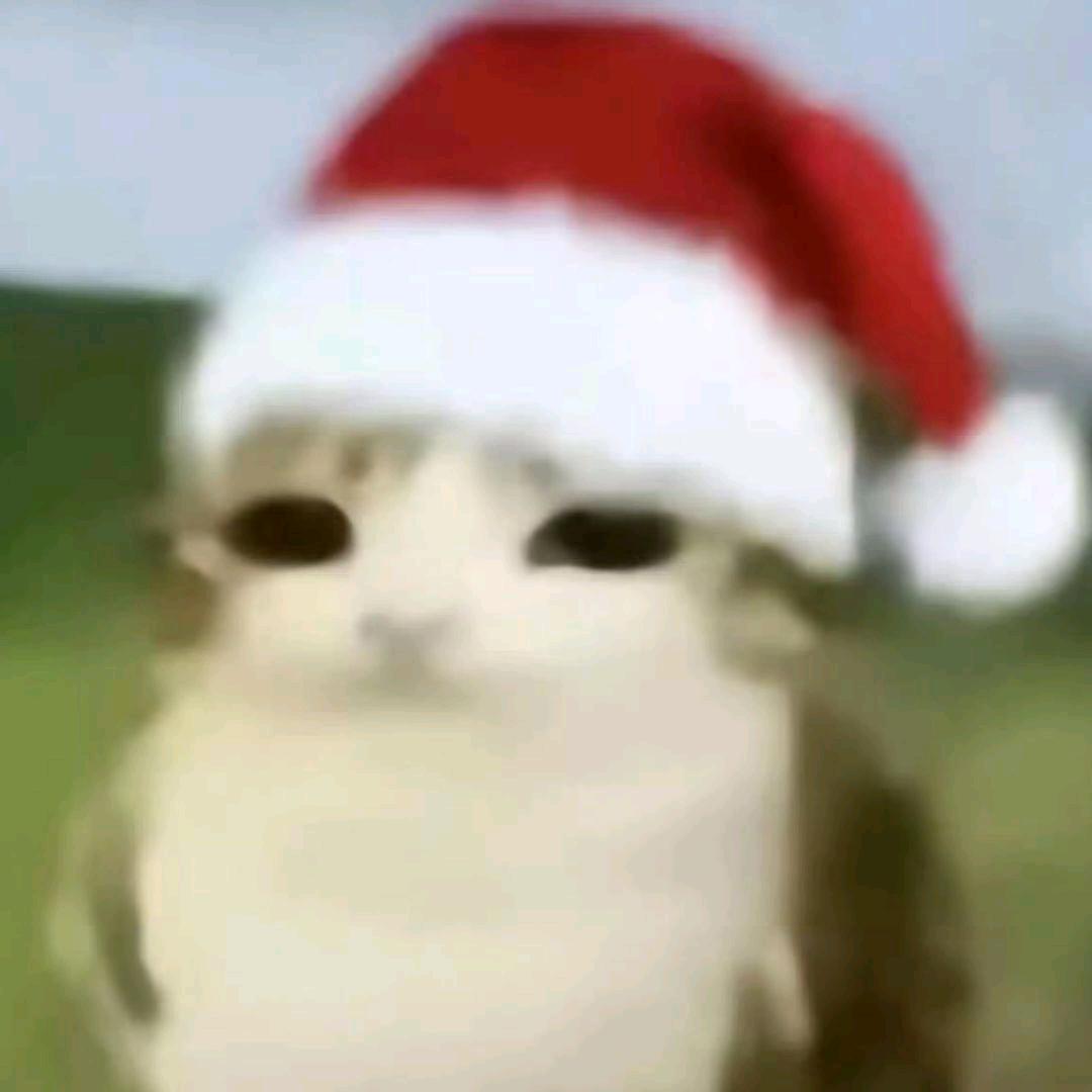 内裤老摸我屁股咋办