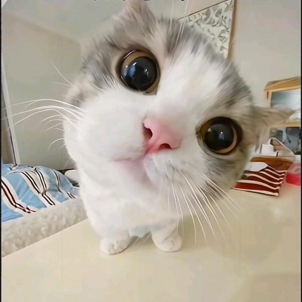 ♥醉™今朝