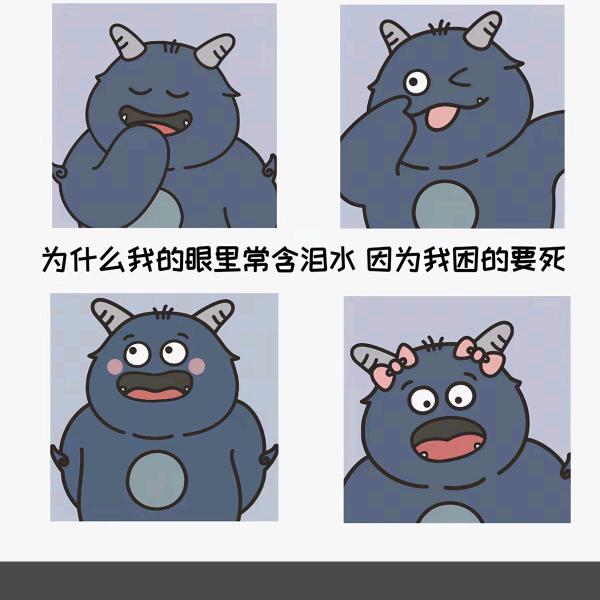 芝士小熊