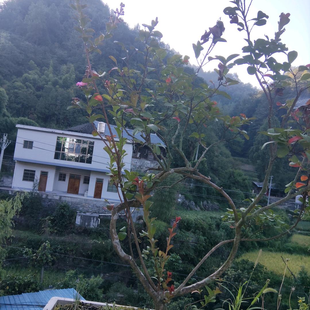 香水有毒