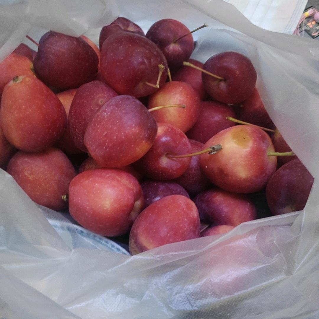 长春检车地面超平