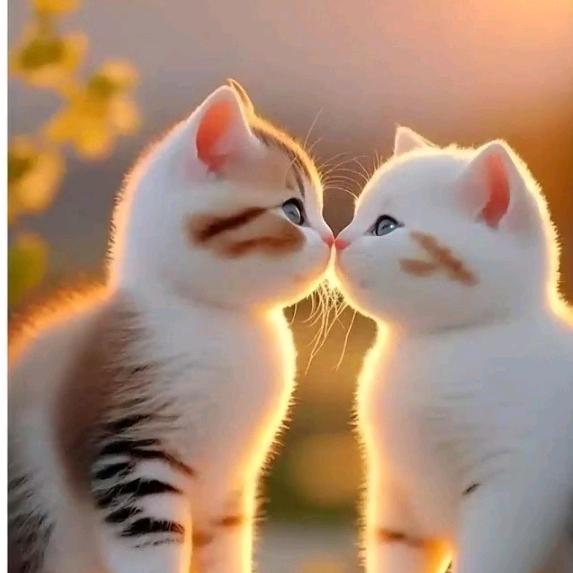 汐颜兮梦♡
