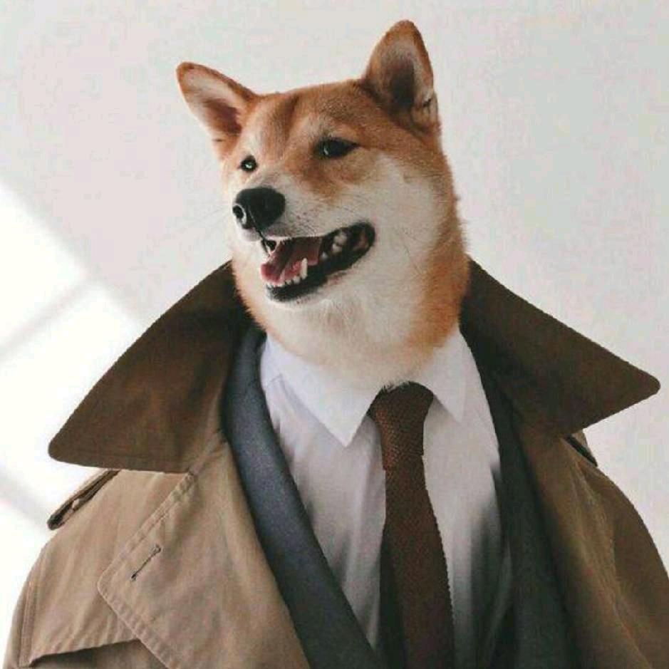 亦山心