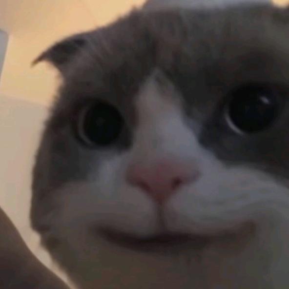 肘子