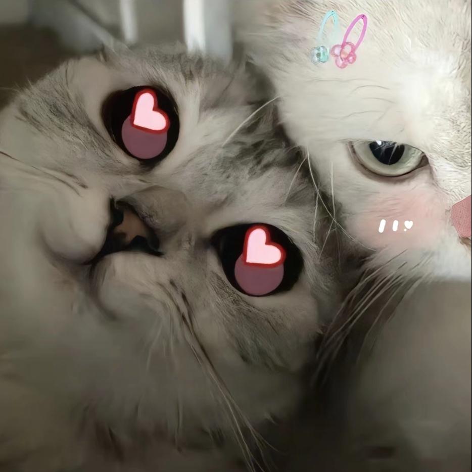 司徒π皓白