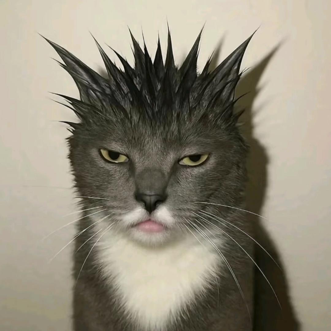 金锁.