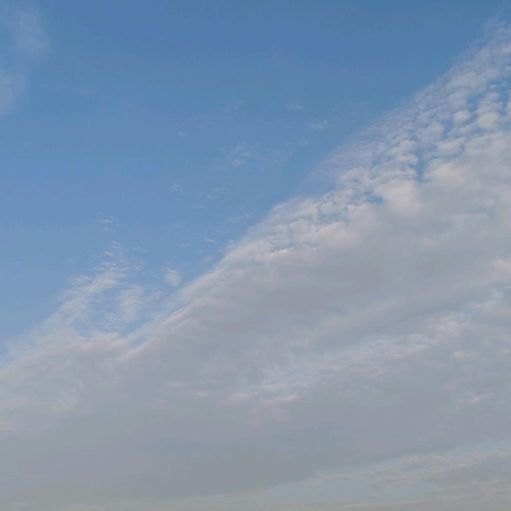 小林家