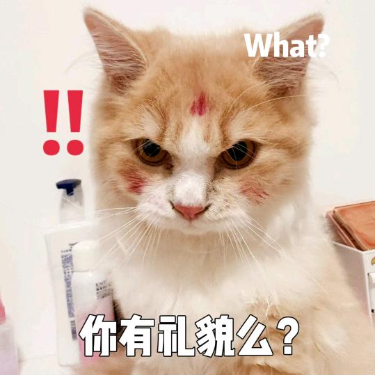 木子李