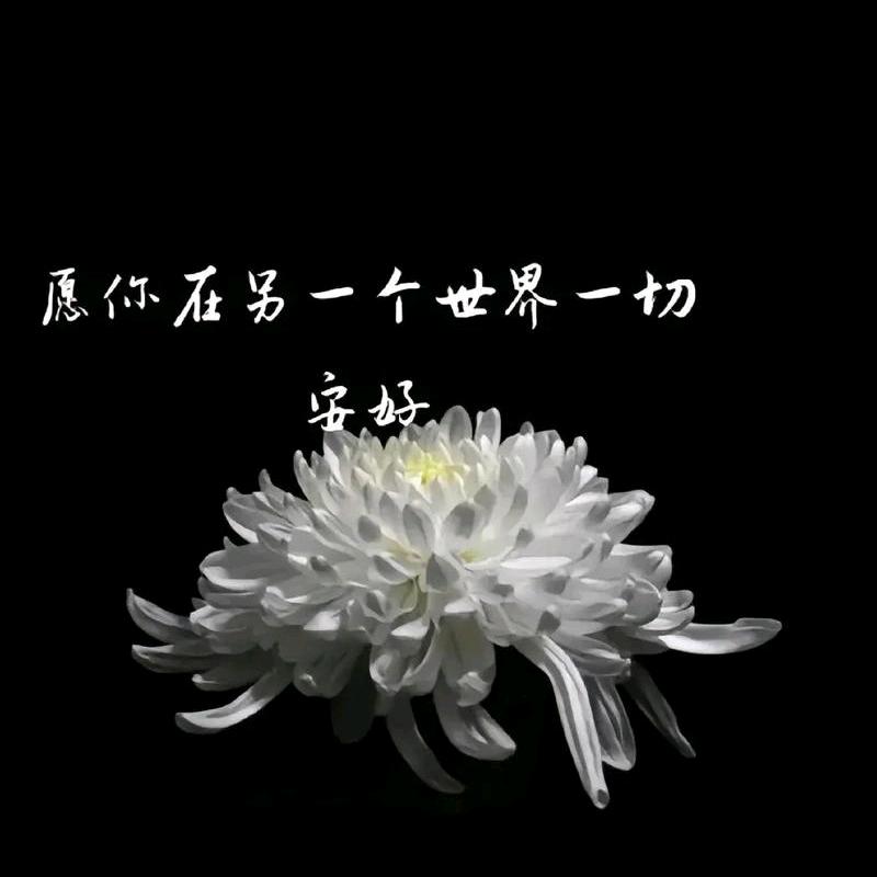 红林