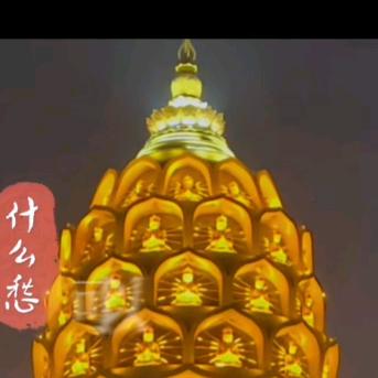 静😌静。